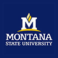 Montana State University - Bozeman Education School Logo